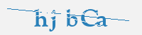 보안문자